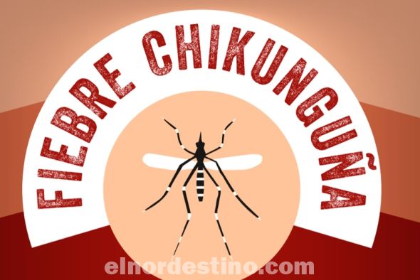 La mejor forma de prevenir la Fiebre Chikungunya es disminuir los lugares donde se puedan criar mosquitos. Para ello, se deben eliminar los recipientes sin utilidad que pueden acumular agua. (Imagen: Divulgación).