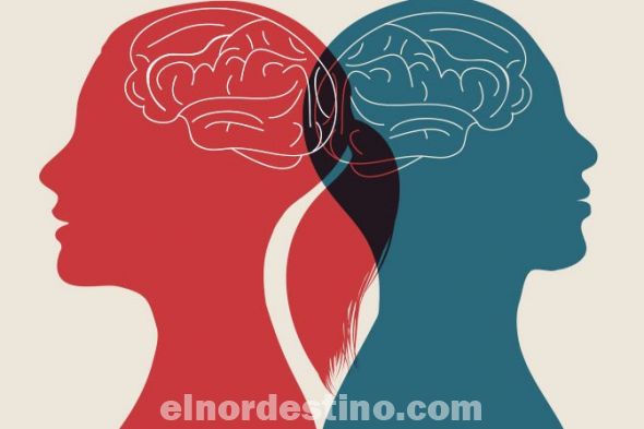 Cuando hablamos del cerebro del hombre contra el cerebro de una mujer estamos hablando de que esperamos que hay diferencias anatómicas entre las estructuras que tiene el cerebro de un hombre y las estructuras que hay en el cerebro de una mujer. (Ilustración: Divulgación).