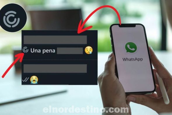 El objetivo que tiene que este nuevo icono aparezca entre las conversaciones de los chats es que las personas puedan identificar cuando sus contactos estén respondiendo al estado que se ha subido sin necesidad de tener que abrir el mensaje.(Foto: Más Tecnología).