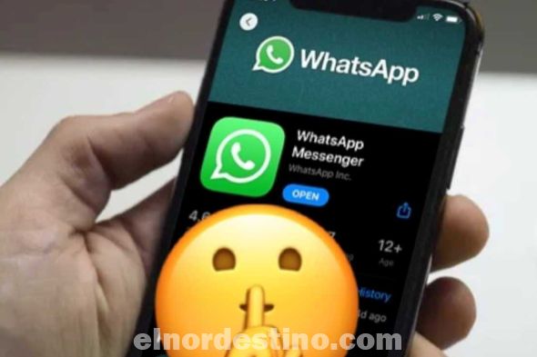 El lanzamiento de estas nuevas funciones se produce cuando WhatsApp anunció que agregaría la capacidad para que los usuarios transfieran su historial de conversaciones, fotos, videos y mensajes de voz de Android a iPhone a través de la aplicación Move to iOS de Apple. (Foto: Más Tecnología).