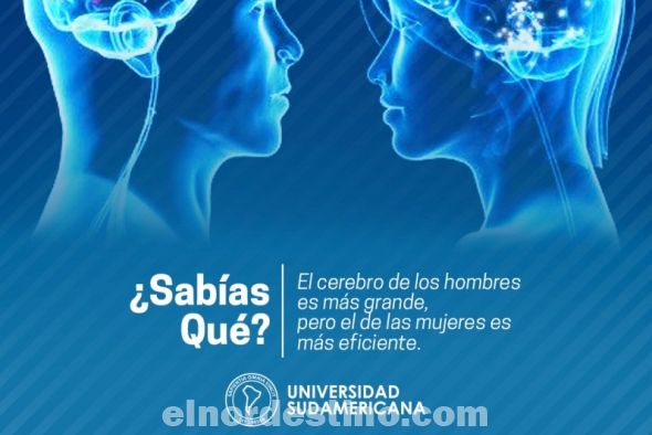 Las mujeres tienen mejor rendimiento de memoria pese al menor tamaño del cerebro, nos explica Universidad Sudamericana
