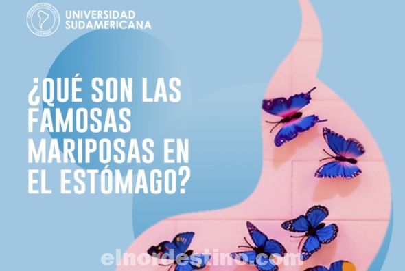 Universidad Sudamericana nos explica qué son las famosas “mariposas que sentimos en el estómago”