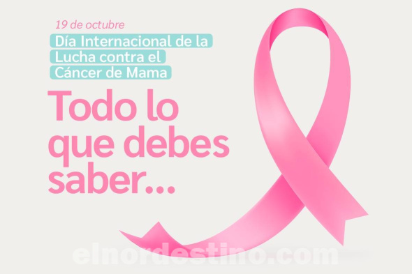 Para prevenir primera causa de muerte de mujeres por cáncer en Paraguay, Universidad Sudamericana comparte recomendaciones 