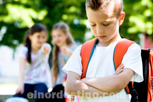 Cuidando a nuestros niños y adolescentes: Precauciones y estrategias a contemplar para prevenir y combatir el acoso escolar