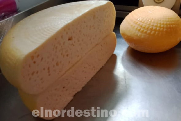El cuajo en estado natural ya no tiene contacto con la leche en el proceso de producción del queso y el operador tampoco toca el producto durante todo el circuito. Es más susceptible a la contaminación y es por eso que en las industrias ya no se usa. (Foto: Tembi’u Paraguay).