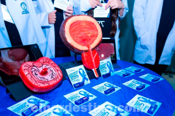 La VI Jornada de Histología y Anatomía fue organizada por la Coordinación de Extensión Universitaria dirigida por la doctora Lucila Biedman, ocasión en la que estudiantes de la Carrera de Medicina presentaron maquetas y pósteres. (Foto: Gacetilla de Prensa de Universidad Sudamericana).