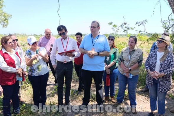 Hospital General de Concepción: Veintidós empresas interesadas conocen terreno para construcción del nosocomio departamental