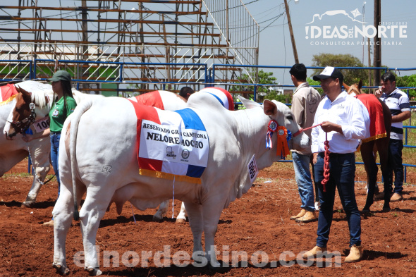 Apretando el Cinto se puede llegar Lejos: Secretario General de la Regional Amambay definió como exitosa a la XXVII ExpoFeria