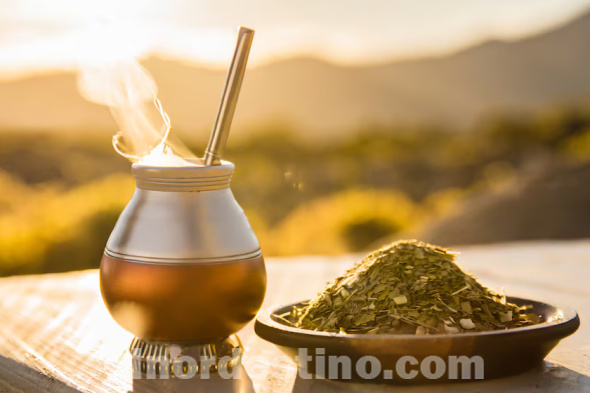 Yerba Mate: infusión popular de Paraguay con hierbas que calman los dolores estomacales y ayudan a aliviar la hinchazón