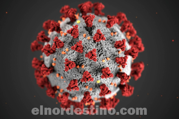 Síndrome Respiratorio: Científicos de China descubrieron en laboratorio un nuevo coronavirus portado por murciélagos 
