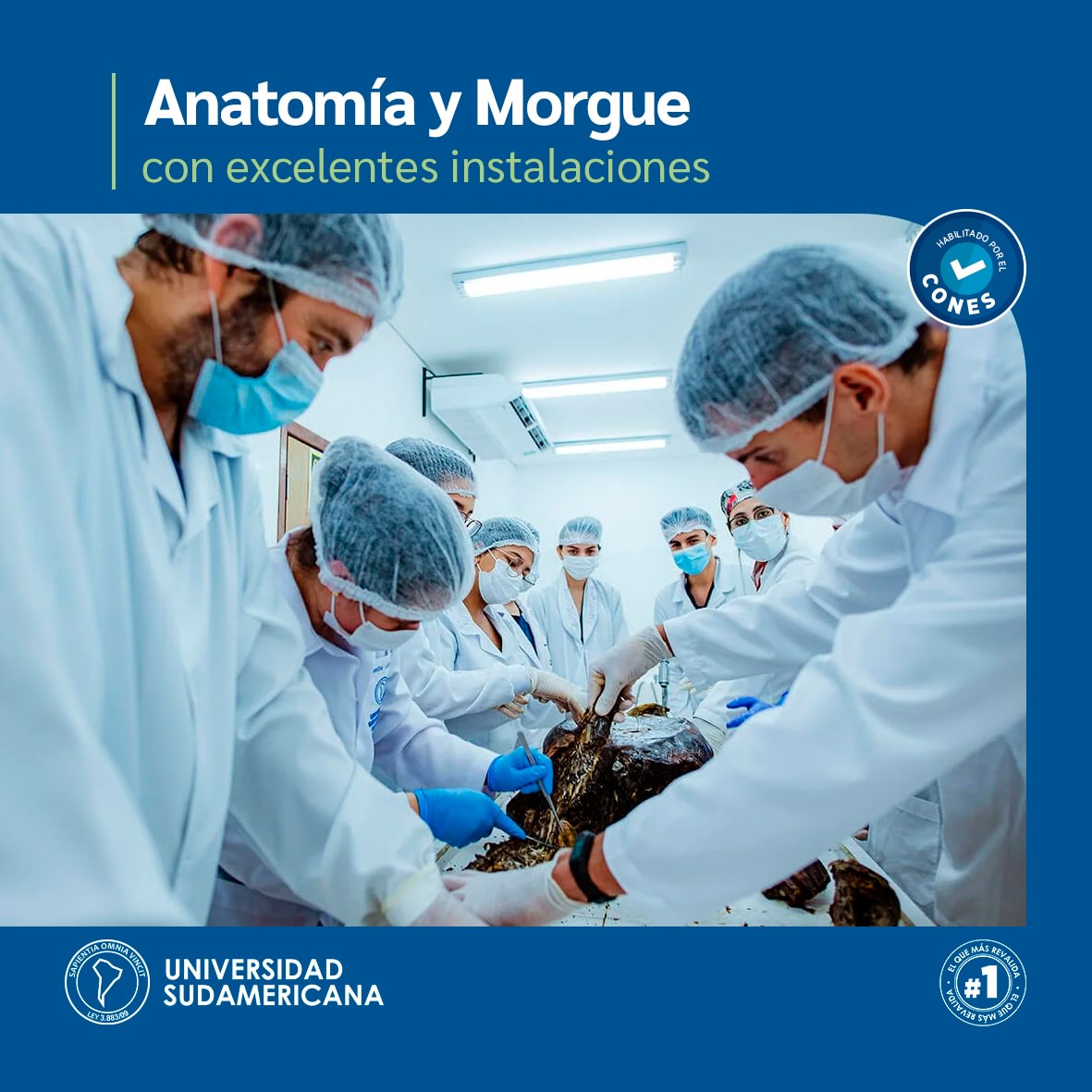 SUDA Estudiá Medicina